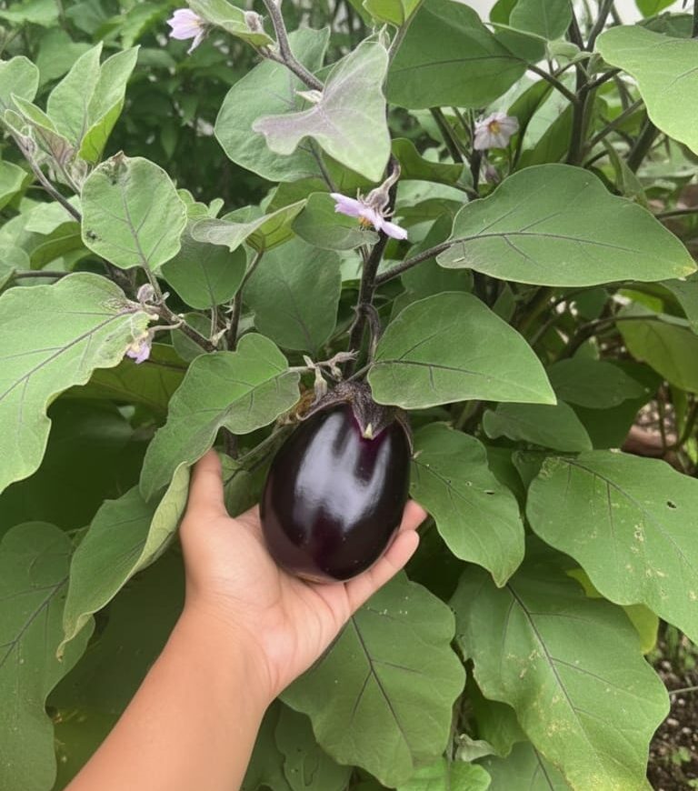 WhatsApp Image 2025-11-21 at 4.18.36 PM (1)